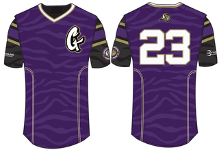 Buy Wholesale China Custom Summer Men Polyester Baseball Jersey